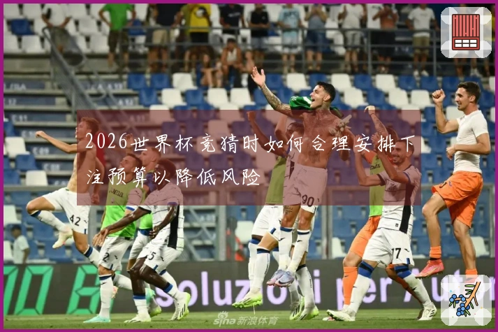 2026世界杯竞猜时如何合理安排下注预算以降低风险