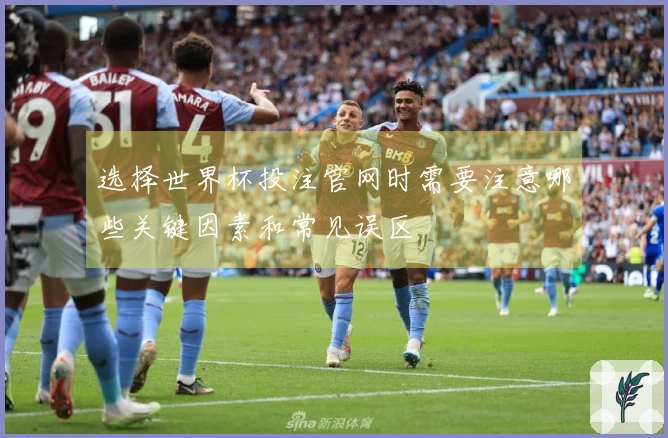 选择世界杯投注官网时需要注意哪些关键因素和常见误区