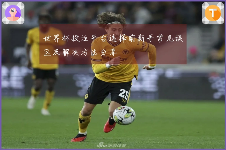 世界杯投注平台选择前新手常见误区及解决方法分享