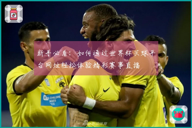 新手必看：如何通过世界杯买球平台网址轻松体验精彩赛事直播