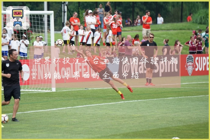 世界杯投注平台主站使用体验评测：功能与界面的全面介绍
