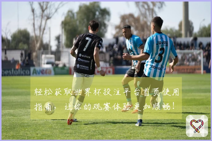 轻松获取世界杯投注平台首页使用指南,让你的观赛体验更加顺畅!