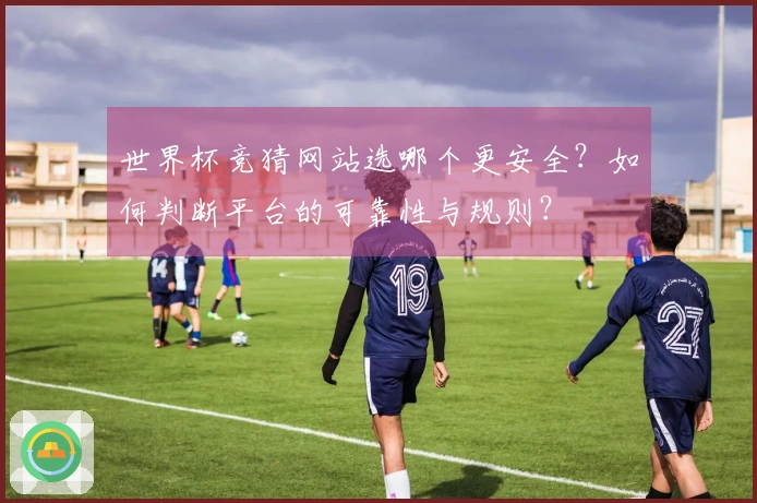 世界杯竞猜网站选哪个更安全？如何判断平台的可靠性与规则？