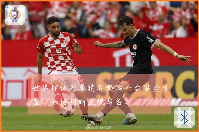 世界杯体彩竞猜有哪些平台安全可靠？如何判断正规与否？
