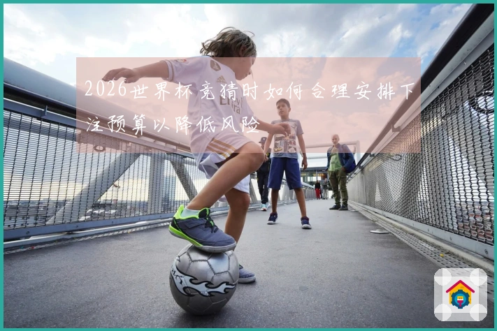2026世界杯竞猜时如何合理安排下注预算以降低风险