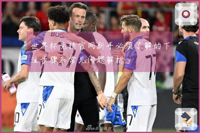 世界杯竞猜官网新手必须了解的下注步骤和常见问题解析
