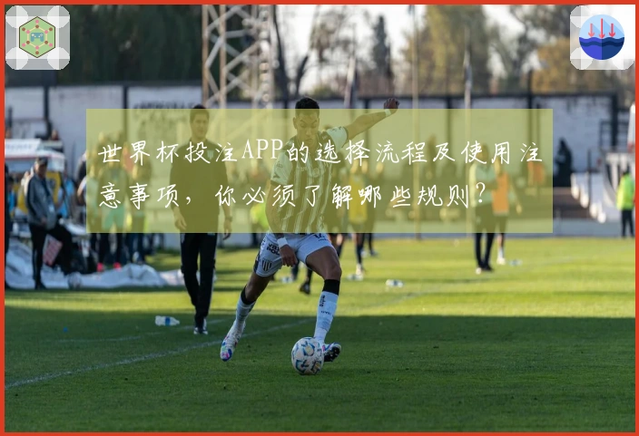 世界杯投注APP的选择流程及使用注意事项，你必须了解哪些规则？