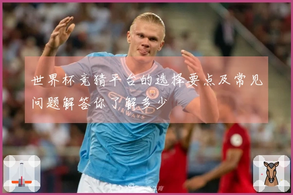世界杯竞猜平台的选择要点及常见问题解答你了解多少