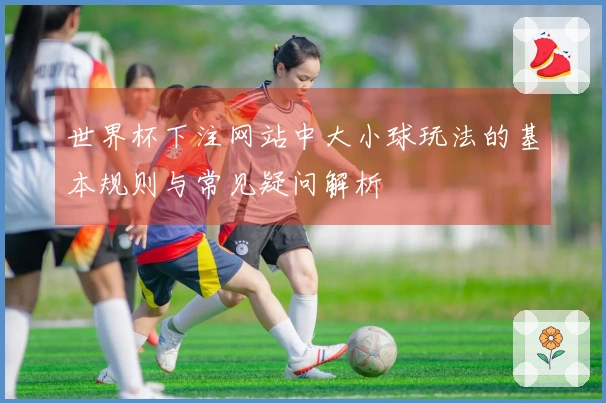 世界杯下注网站中大小球玩法的基本规则与常见疑问解析