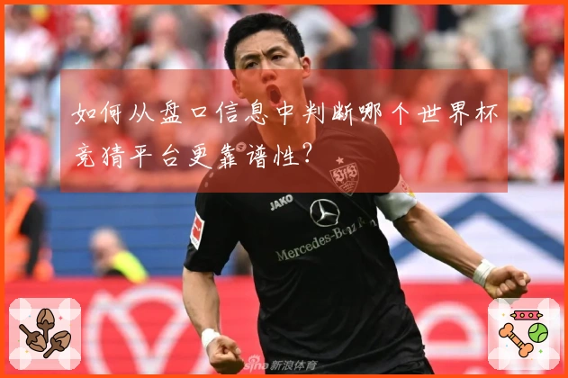 如何从盘口信息中判断哪个世界杯竞猜平台更靠谱性？