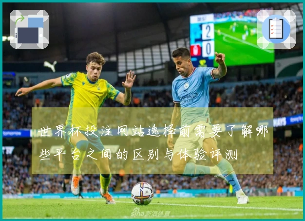 世界杯投注网站选择前需要了解哪些平台之间的区别与体验评测