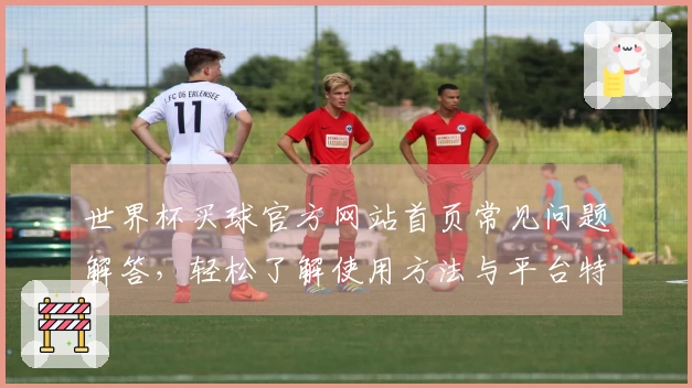 世界杯买球官方网站首页常见问题解答，轻松了解使用方法与平台特点