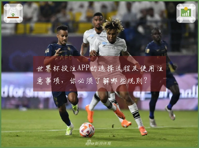 世界杯投注APP的选择流程及使用注意事项,你必须了解哪些规则?