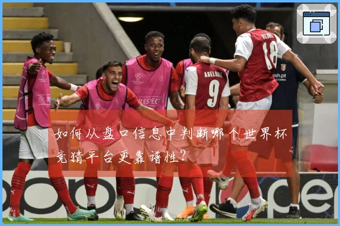 如何从盘口信息中判断哪个世界杯竞猜平台更靠谱性？