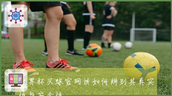 世界杯买球官网该如何辨别其真实性与安全性